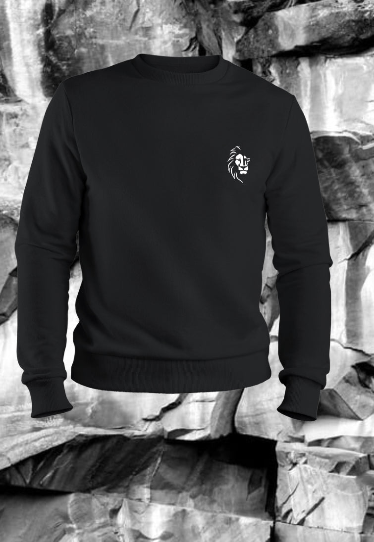 Josh-Sway Casual Men Sweater