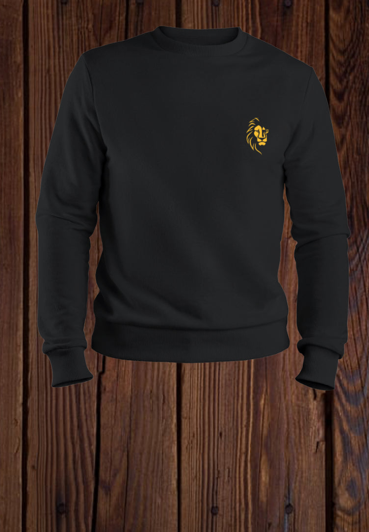 Josh-Sway Casual Men Sweater